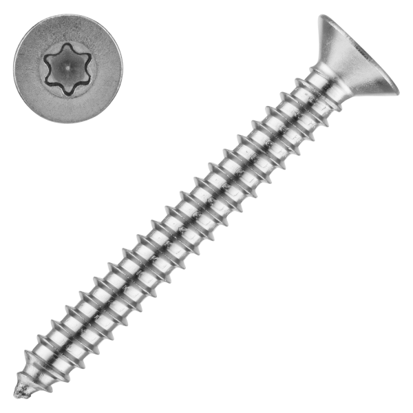 schraubenpost.de® | Blechschrauben mit Senkkopf und Innensechsrund TX | Form C (mit Spitze) - 2,9x6,5 mm (100 Stück) | DIN 7982 / ISO 14586 | Edelstahl A2 V2A | TORX