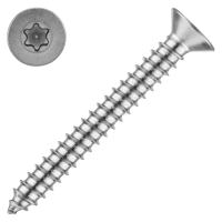 schraubenpost.de® | Blechschrauben mit Senkkopf und Innensechsrund TX | Form C (mit Spitze) - 2,9x6,5 mm (100 Stück) | DIN 7982 / ISO 14586 | Edelstahl A2 V2A | TORX