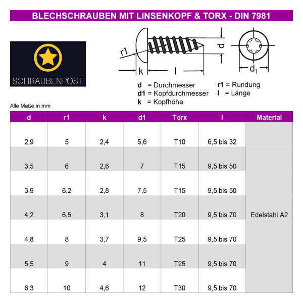 schraubenpost.de® | Blechschrauben Linsenkopf 3,9 x 25 mm (50 Stück) Innensechsrund TX | Form C (mit Spitze) | DIN 7981 / ISO 14585 | Edelstahl A2 V2A | TORX