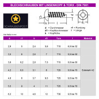 schraubenpost.de® | Blechschrauben Linsenkopf 3,9 x 38 mm (50 Stück) Innensechsrund TX | Form C (mit Spitze) | DIN 7981 / ISO 14585 | Edelstahl A2 V2A | TORX